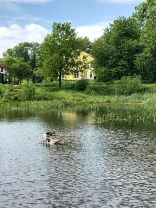 Landidylle Auf Dem Rittergut